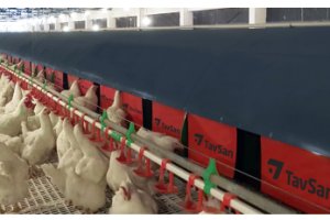 Comfort + Folluk Kataloğu kapağı